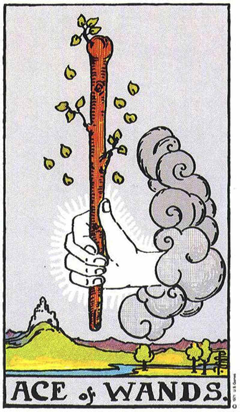 Ace of Wands